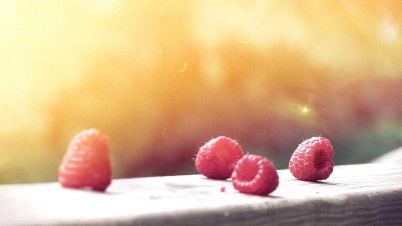 পুরস্কার জিতলেন জয়া নিয়ে সংশয় (22)