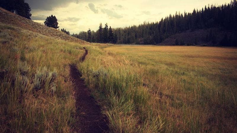 বাংলাদেশ দলের হার নিয়ে আলোচনা তুঙ্গে (32)