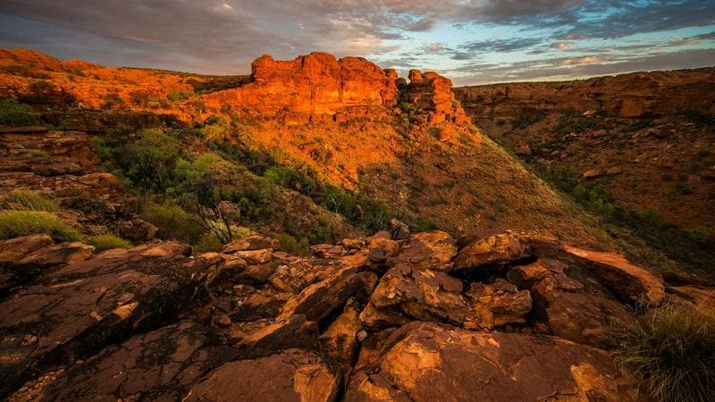 গাজায় হামলা অব্যাহত নিয়ে আলোচনা তুঙ্গে (48)