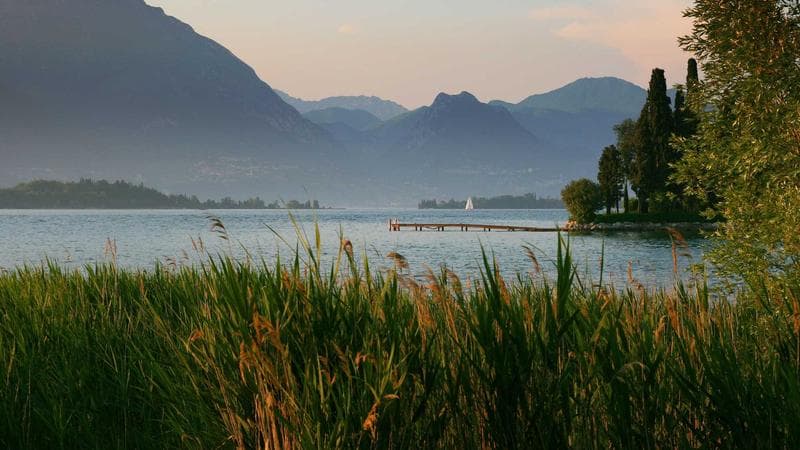 নির্বাচনের প্রস্তুতি সফলভাবে সম্পন্ন (67)