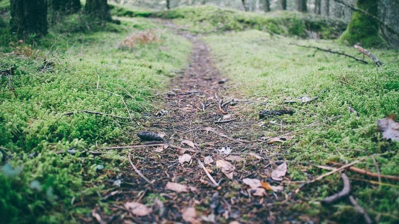 নতুন বাজেট নিয়ে সাধারণ মানুষের মতামত (34)