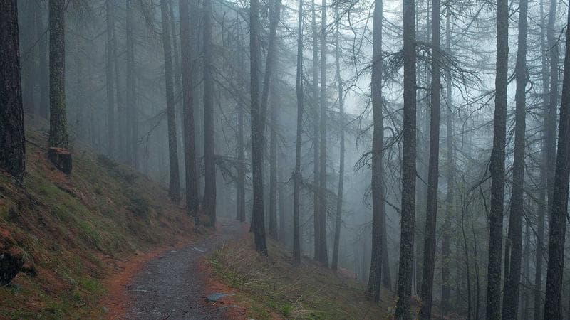 প্রবাসী আয় বেড়েছে নিয়ে কঠোর অবস্থান (71)